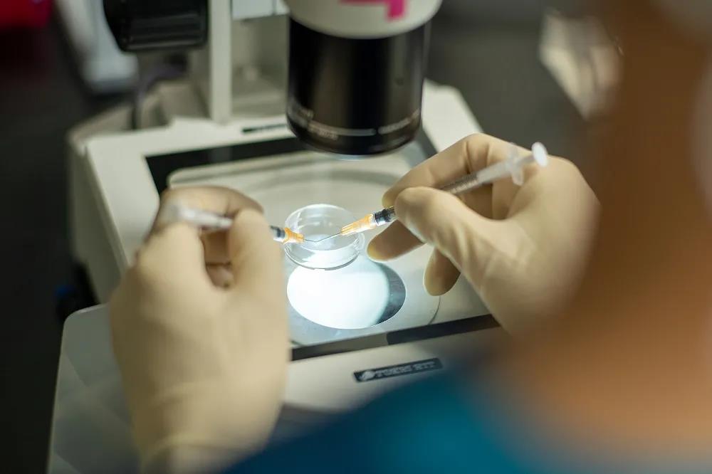 泰国试管婴儿前期检查项目解读